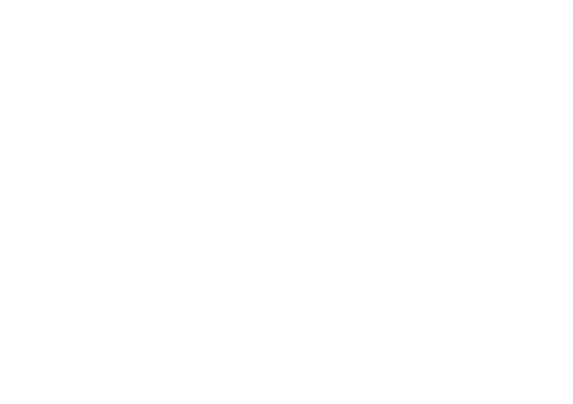 Disaster Shield OS
